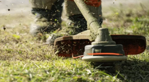 Débroussaillage-Elagage