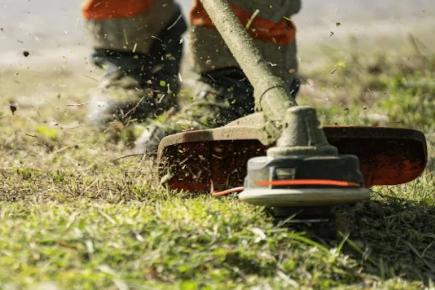 Débroussaillage et élagage