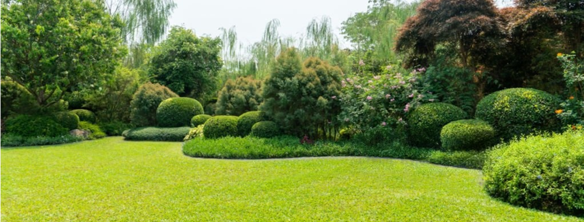Votre Jardinier Paysagiste passionné !